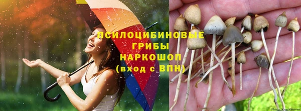 гашиш Каменногорск